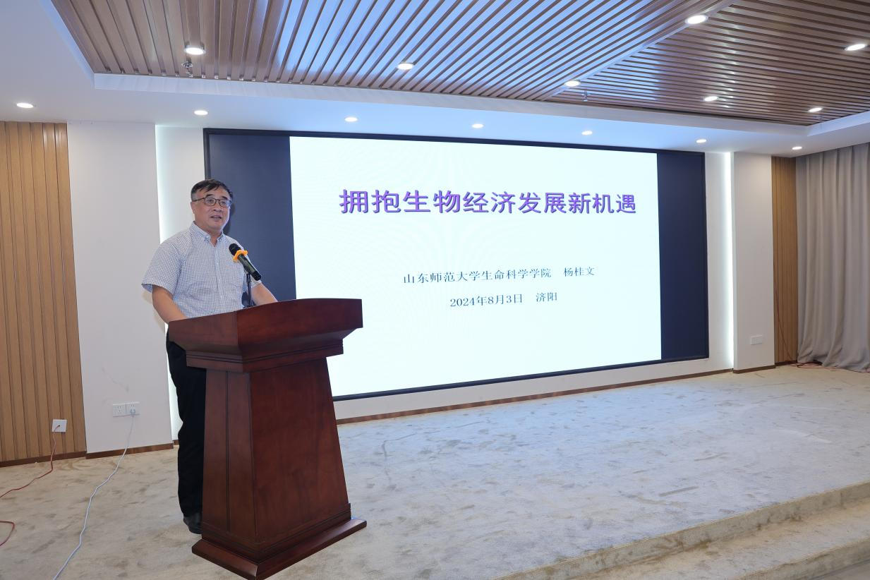 杨桂华1
